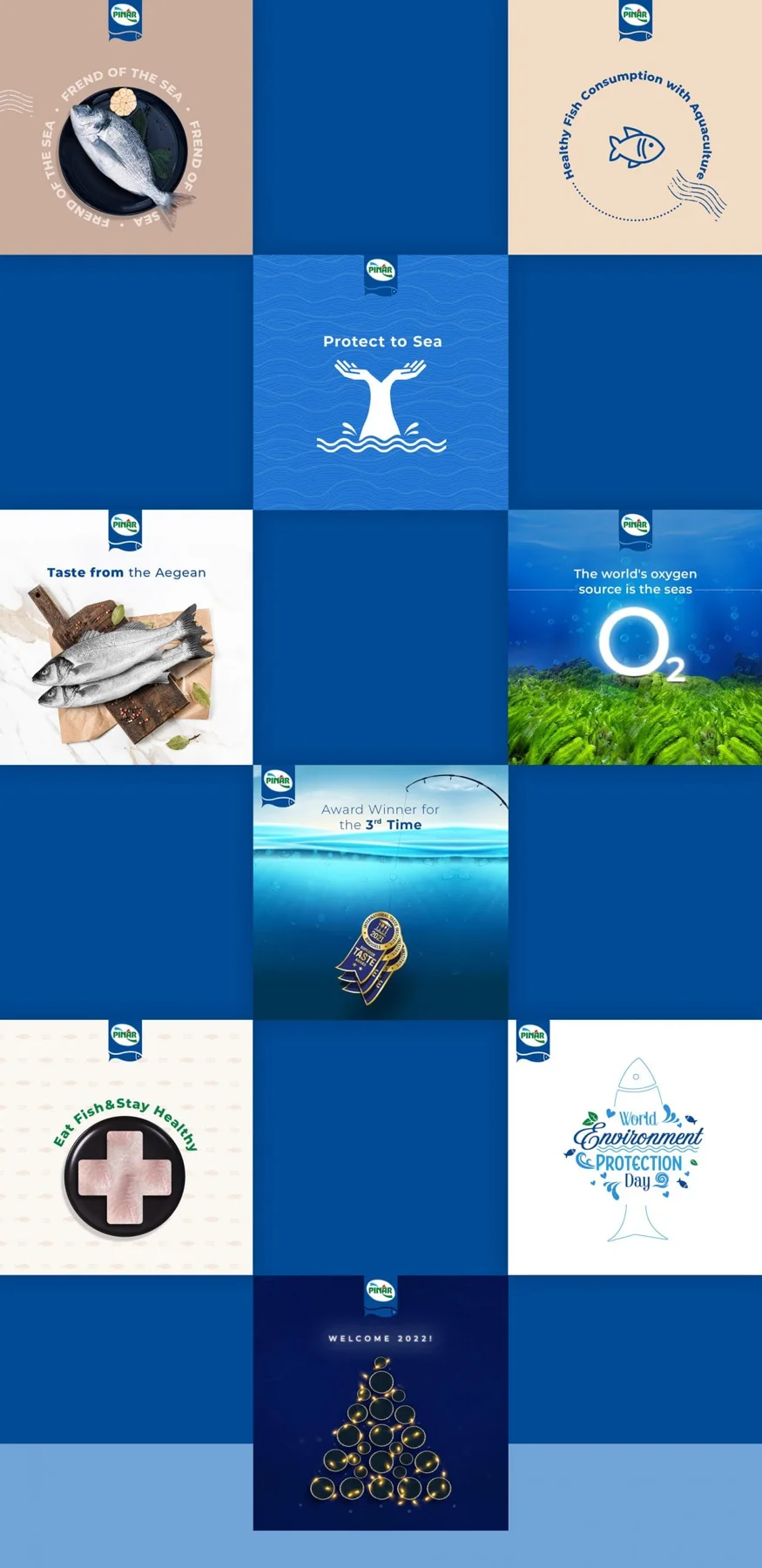 Pınar Fish proje görseli